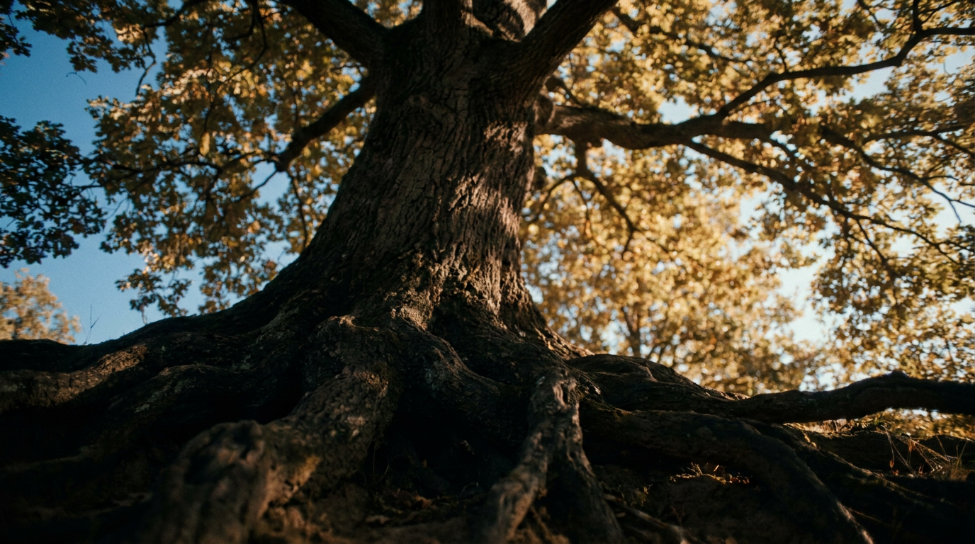Ein majestätischer Baum als Symbol für das langfristige Sparen für 100 Jahre Leben, voll gewachsen und widerstandsfähig.